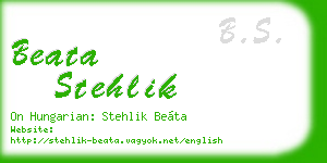 beata stehlik business card
